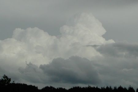 01.07.2003: Eifel