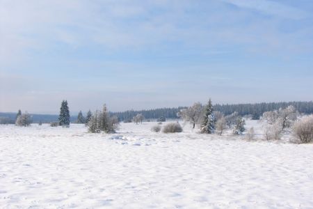 01.12.2005: Polleurvenn