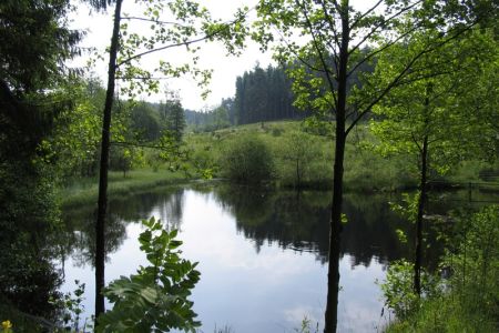02.06.2007: Dahlem