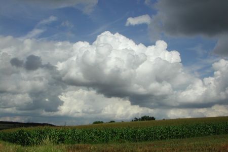 04.08.2008: Eifel