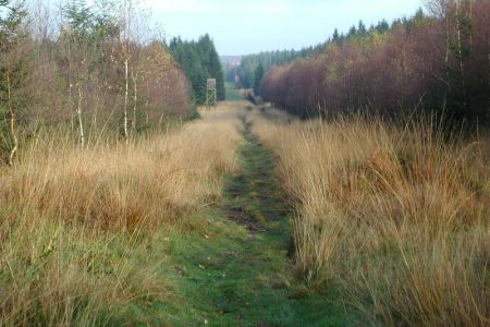 06.11.2002: Brackvenn