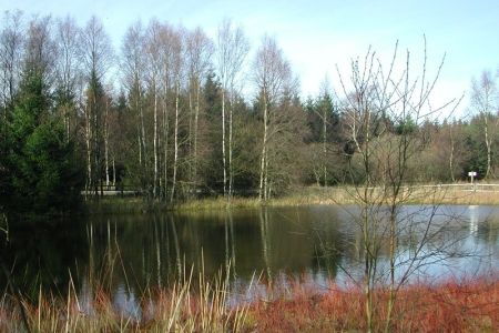 06.11.2002: Brackvenn