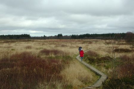 06.11.2002: Brackvenn