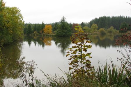 07.10.2008: Schmidtheim