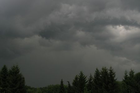 08.07.2005: Eifel