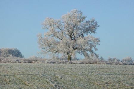 08.12.2002: Kronenburg