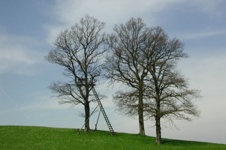 09.05.2002: Nettersheim