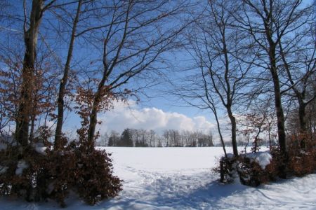 10.03.2005: Mützenich