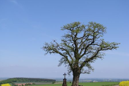 10.05.2009: Berg