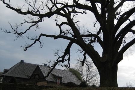 12.02.2011: Katzvey