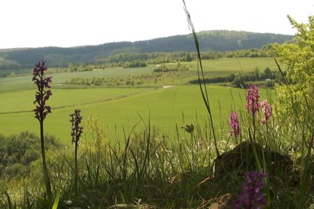 12.05.2005: Eschweiler