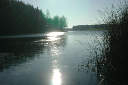 14.12.2001: Freilingen
