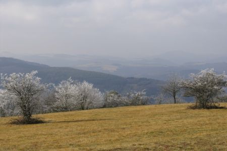 15.02.2008: Steinerberg