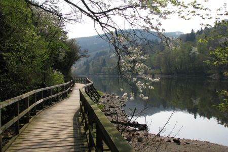 15.04.2009: Heimbach
