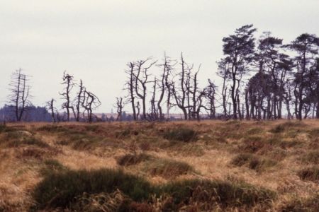 15.11.1986: Wallonisches Venn