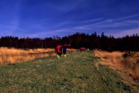 15.11.1988: Steinleyvenn