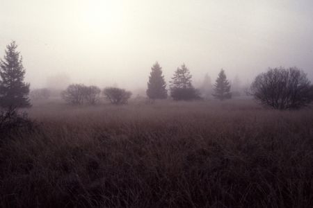 16.11.1991: Brackvenn