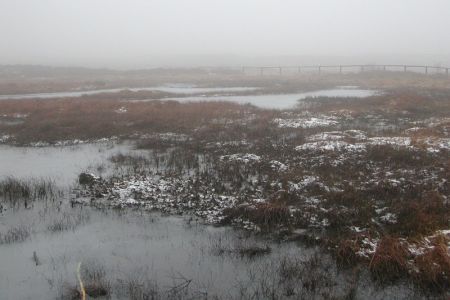 19.02.2002: Brackvenn