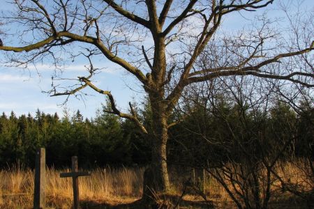 19.11.2009: Großes Venn