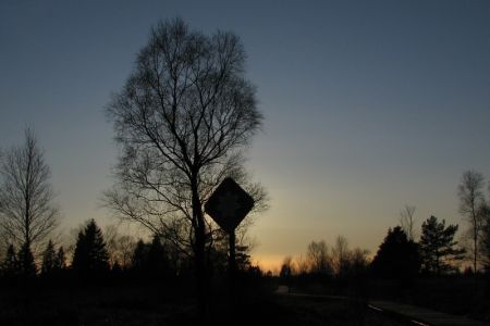 19.11.2009: Großes Venn
