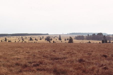 19.11.1983: Wallonisches Venn