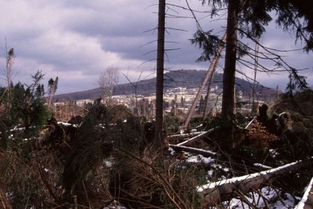 20.02.1990: Bongard.jpg