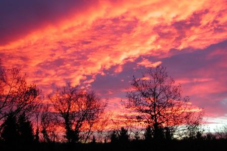 21.11.2002: Eifel
