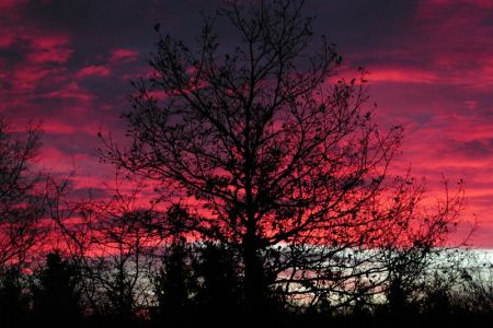 21.11.2002: Eifel