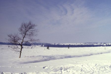 23.02.1986: Wallonisches Venn