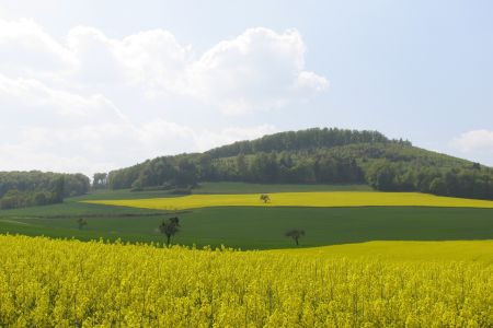 23.04.2007: Veitskopf
