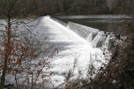 24.01.2011: Hasenfeld