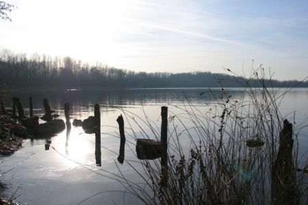 24.01.2006: Geich