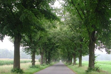 24.08.2005: Müddersheim