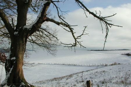 24.12.2003: Lorbach