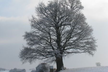 26.01.2010: Schwerfen