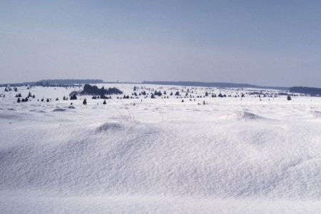 26.02.1986: Wallonisches Venn