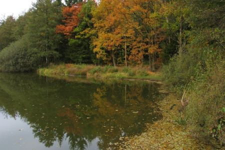 26.10.2004: Bergheim