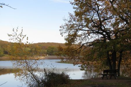 28.10.2008: Kirchheim