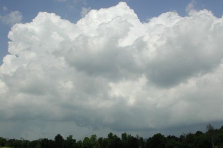 29.06.2005: Eifel