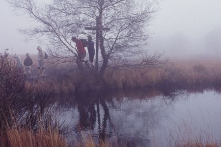 31.10.1982: Wallonisches Venn
